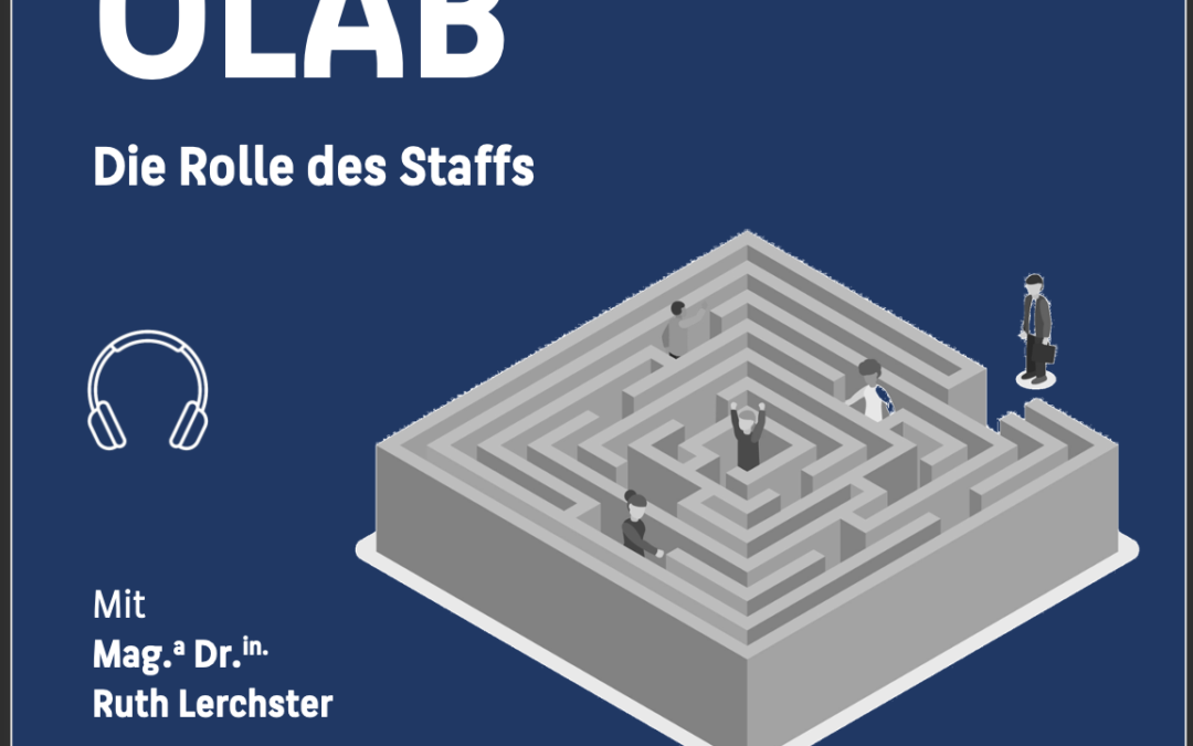 8 – Das OLAB – Die Rolle des Staff´s