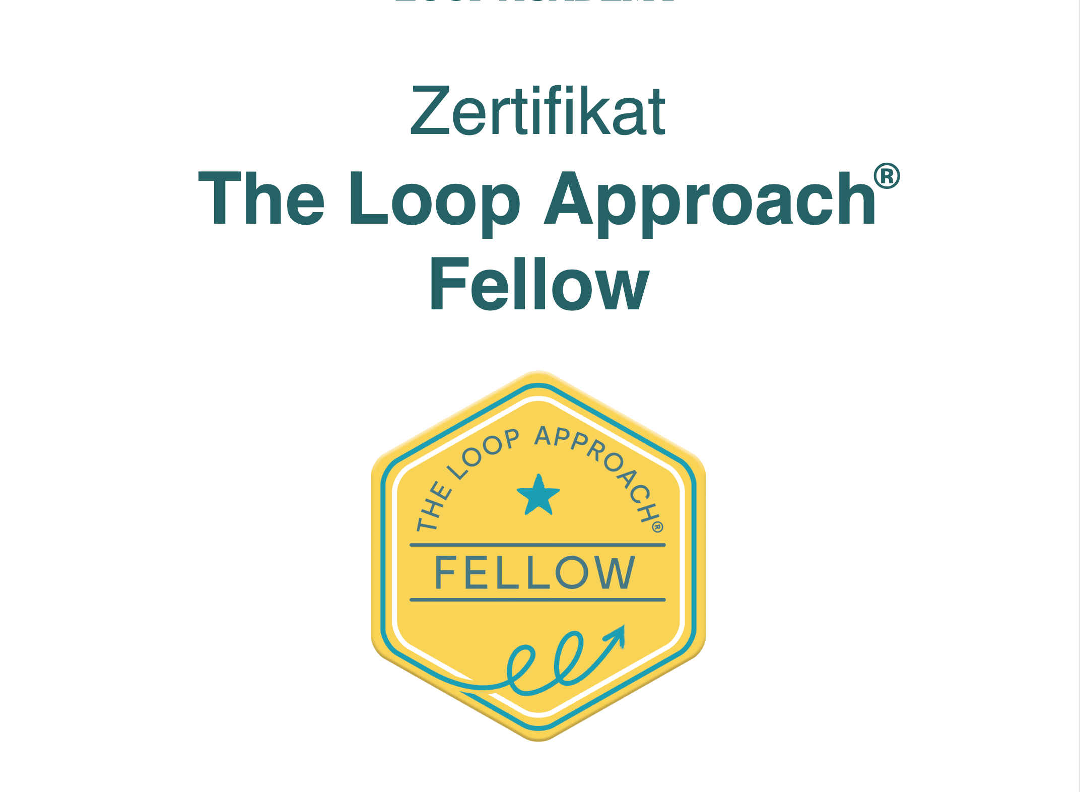 Zertifikat vom The loop approach fellow für Samuel Friedl